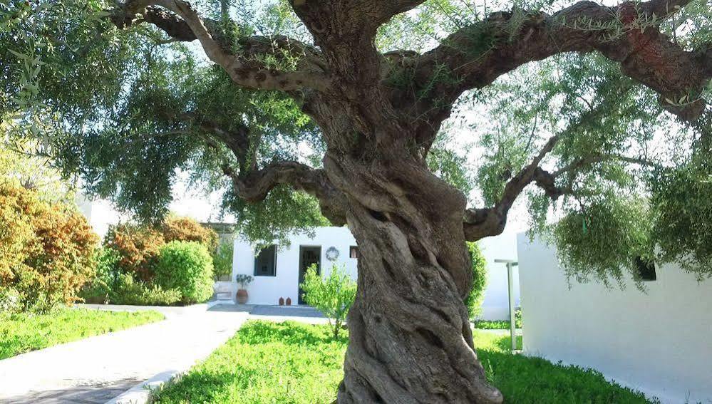 Niriides Villas Selinitsa Exterior foto